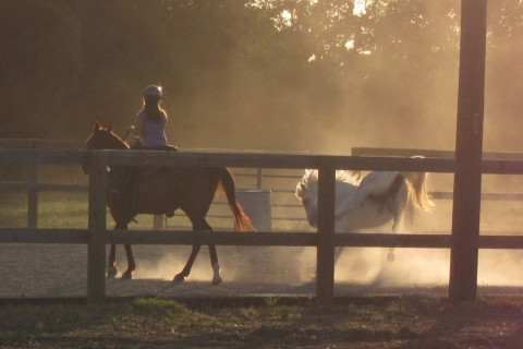 Visit Blessed Ranch Stables - Horse lessons, events, birthday Party, leasing,