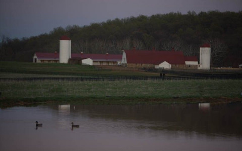 Visit River Chase Farm