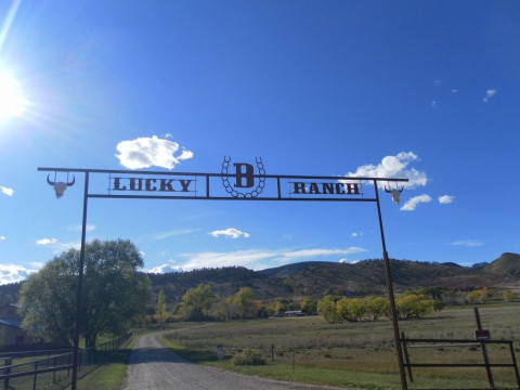 Visit Lucky B Ranch