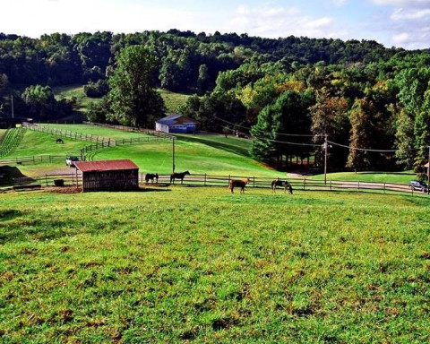 Visit KS Horse Boarding