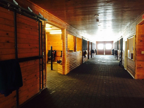 Visit Cheretdressage