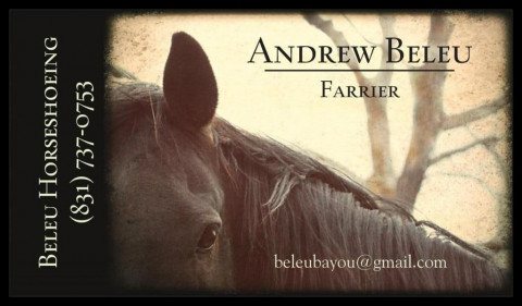 Visit Andrew Beleu