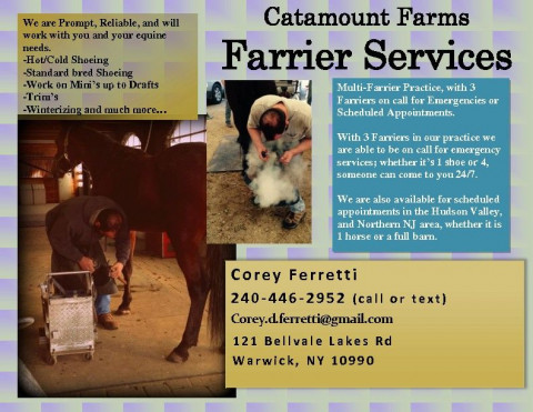 Visit Corey Ferretti