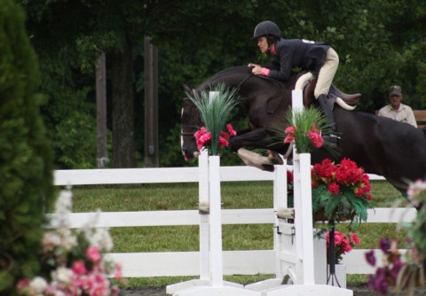 Visit South Jersey Equestrian Center