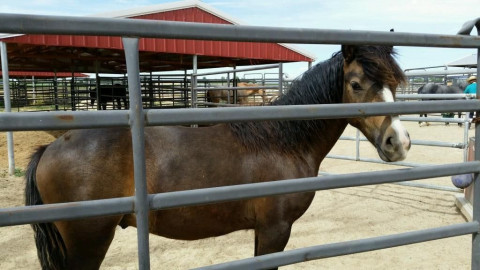 Visit mason creek farms LLc
