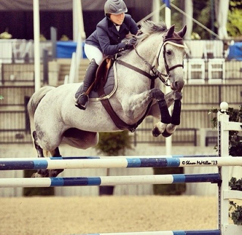 Visit Pleasant Brook Equestrian Training Center