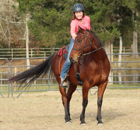 Visit Henry's Home Horse and Human Sanctuary