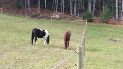 Visit NEW BARN- Walpole, NH- Stall Open!