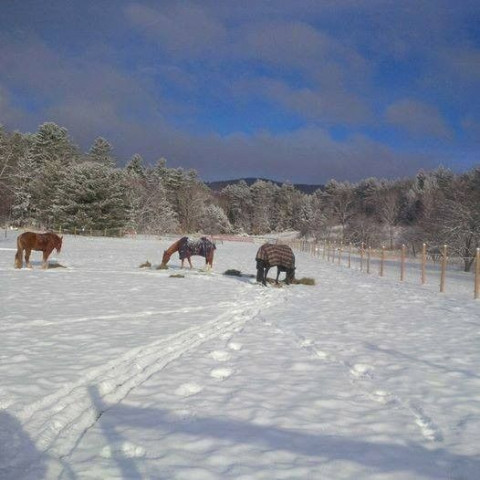 Visit Cold Brook Farm