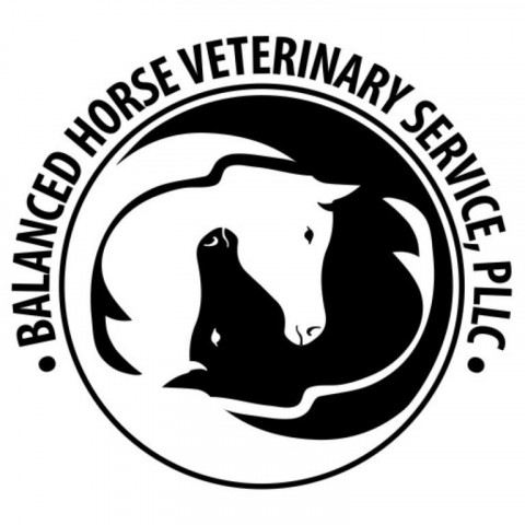 Visit Balanced Horse Veterinary Service, PLLC
