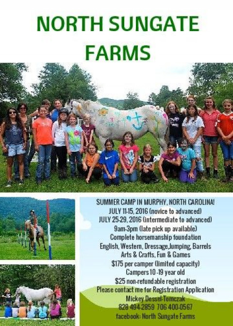 Visit NORTH SUNGATE FARMS