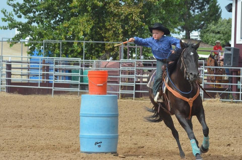 Visit Horse Harmony Training