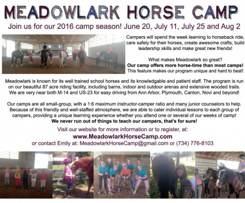 Visit Meadowlark Horse Camp