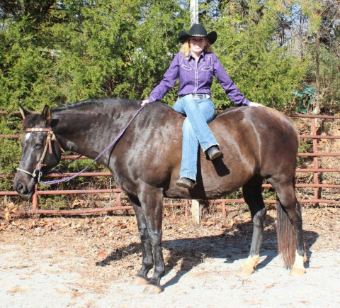 Visit Aspen Black - Empowered Riding