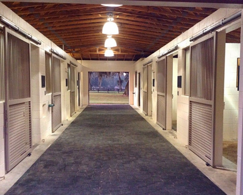 Visit RedHill Stables