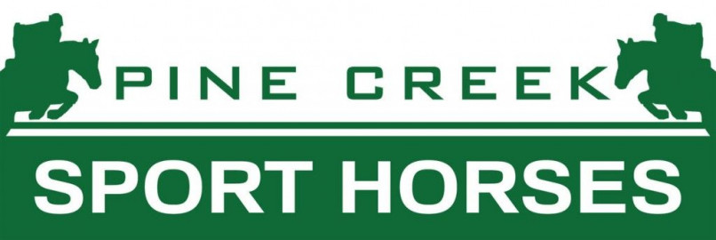 Visit Pine Creek Sport Horses