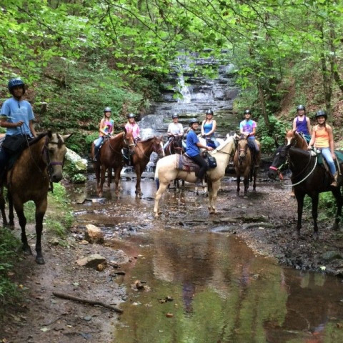 Visit The Equestrian Reserve - 2020 Horse Camp Program