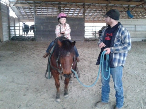 Visit LR Horse Training and Lessons