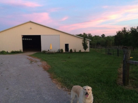 Visit 4star farm and stable
