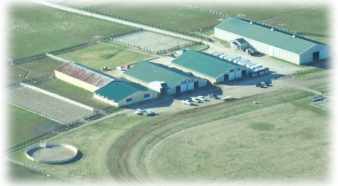 Visit Dancing Horse Farm, Inc.