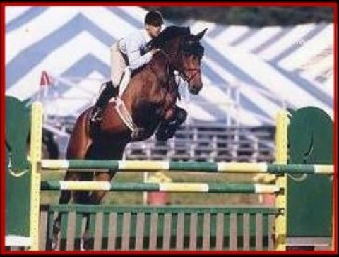 Visit ARAK LLC  CEM-Quarantine (formerly All-D-Reiterhof) Armin Wagner