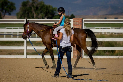 Visit Front range Equestrian's Summer Camp for kids