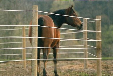 Visit K Fence, Inc.