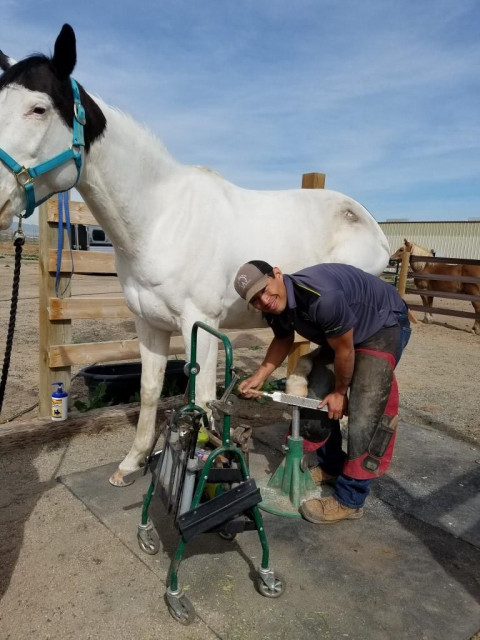 Visit Balanced Hoof Farrier Service/ Horseshoeing