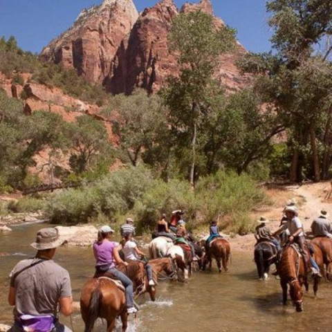 horseback tropic guiding bryce