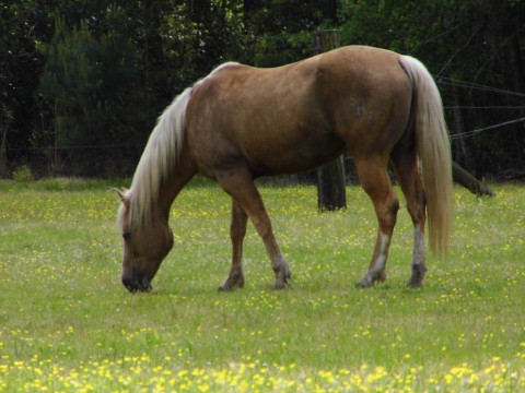 Visit Double E Ranch