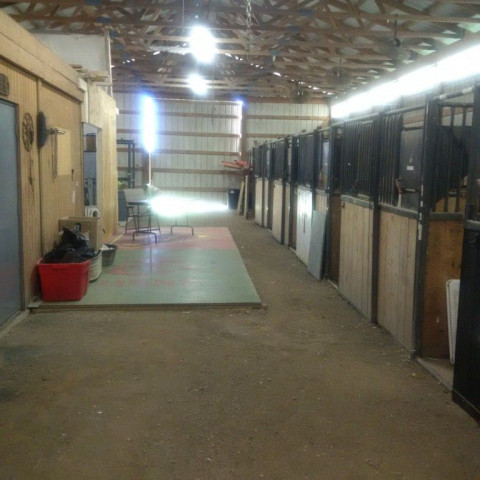 Visit Royal Stables