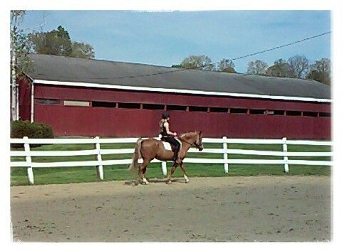 Visit Shallowbrook Farm