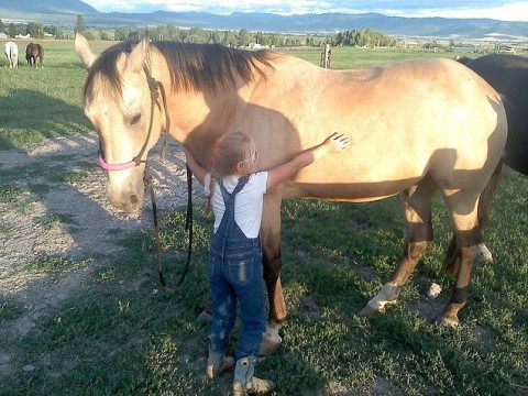 Visit J Bar Stenberg Ranch Horses
