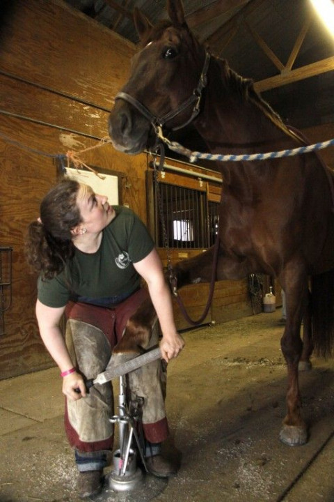 Visit Westland Farrier Services, incorporated