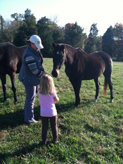 Visit Stony Lonesome Farm