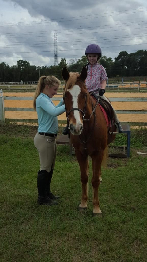 Visit Amazing Grace Equestrian Pony Summer Camp