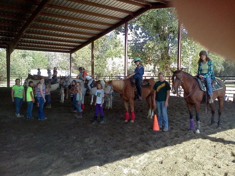 Visit Tammy McDonald Training FUN Horse Camp