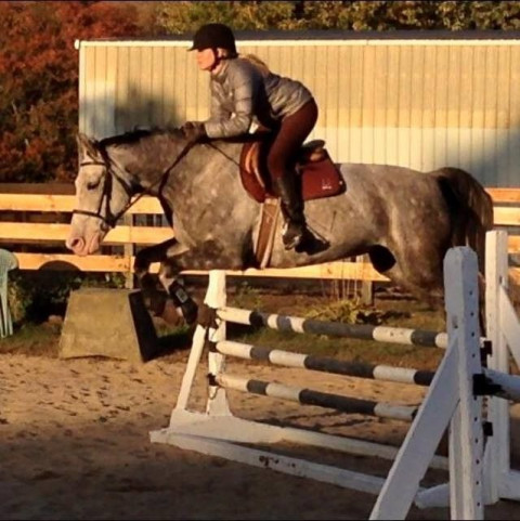 Visit Serrano Creek Riding Academy