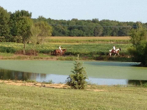 Visit Rocking L Equestrian Center and Boarding Stable