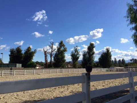 Visit Our Orange Park Ranch
