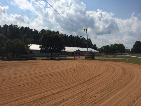 Visit Grande Finale Equestrian
