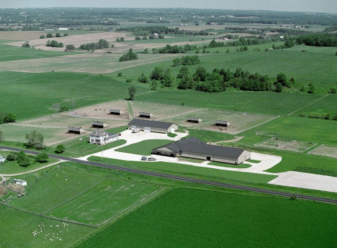 Visit Equine Enterprises, LLC