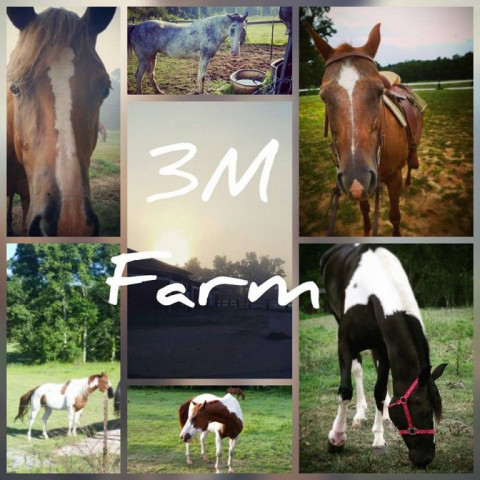 Visit 3M Farm