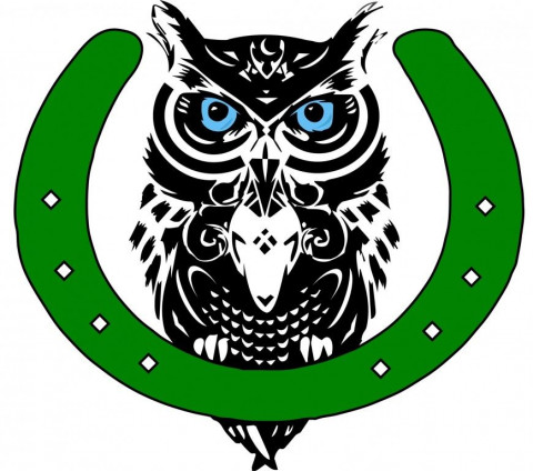 Visit Blue Owl Stables