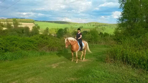 Visit Fox Ridge Equestrian Center