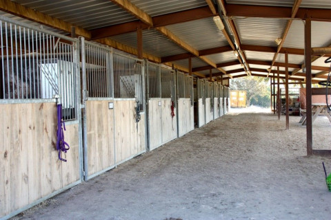 Visit Deer Canyon Stables