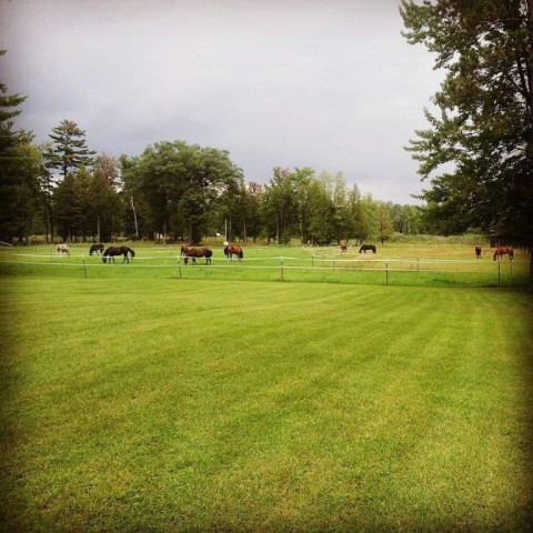 Visit Suamico Horse Boarding