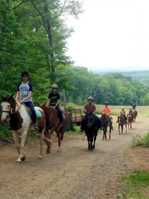 Visit Cardinal Stables and Riding Academy