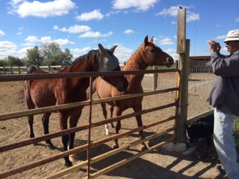 Visit Serenity Pastures and Stables
