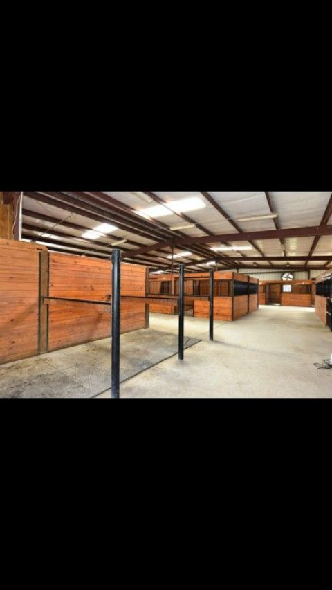 Visit Sammon Equestrian